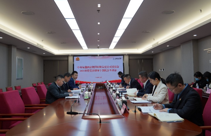 旅投集團黨委書記、董事長任丁出席安逸酒店集團2022年度黨員領導干部民主生活會